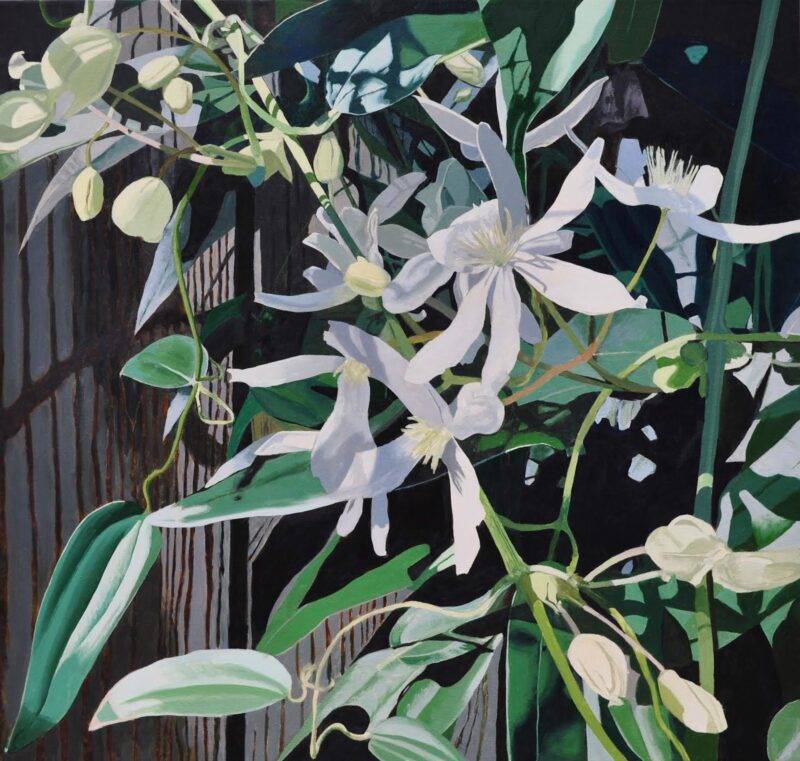 Bigger Blooms by Neal Phillpott