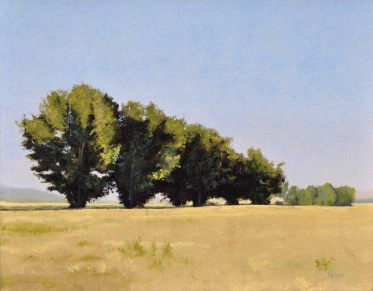 Drive Sentinels by Neal Phillpott