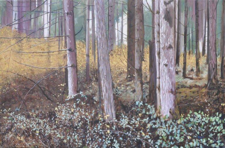 Forested by Neal Phillpott