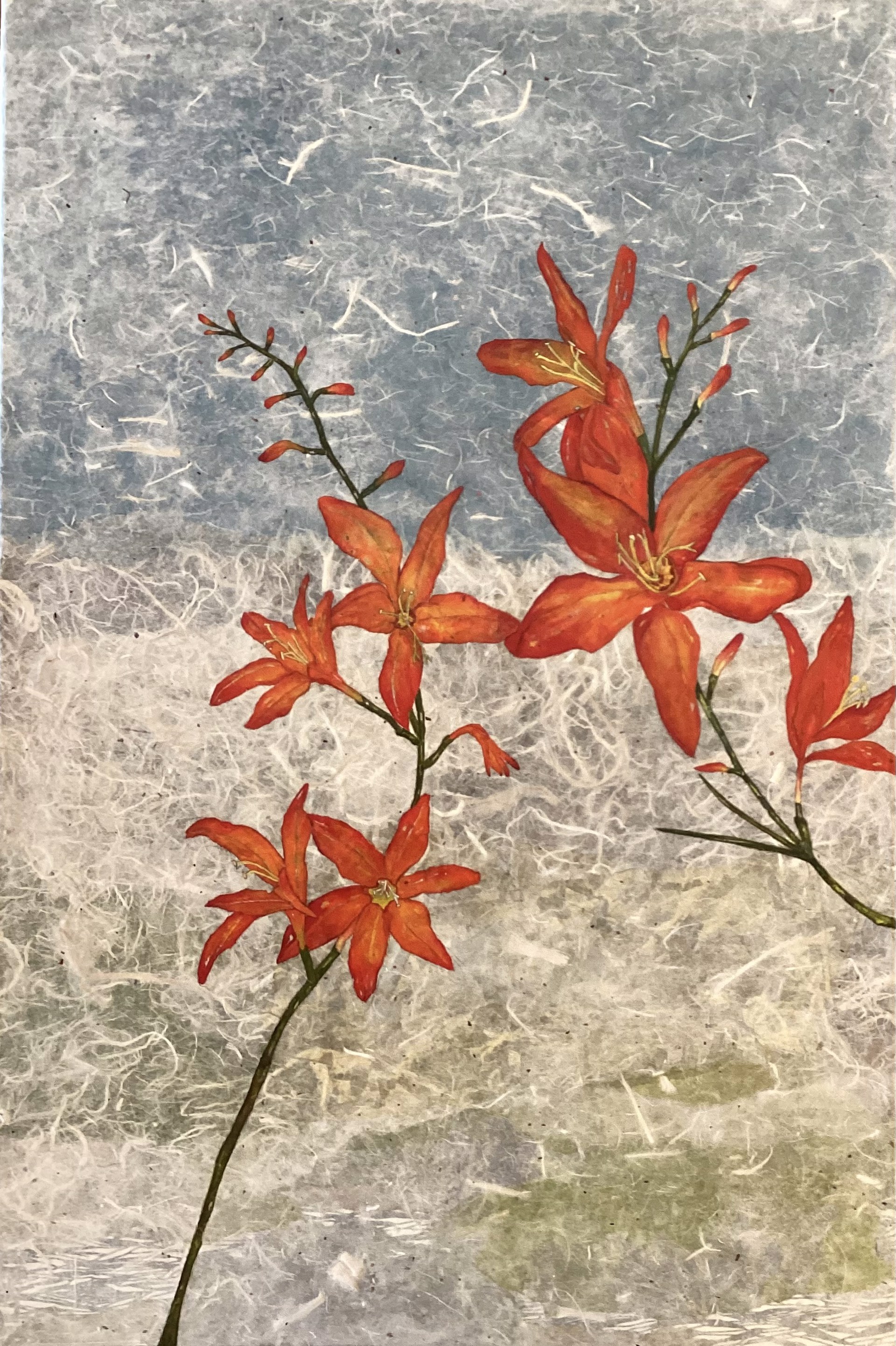 Siblings’ Lower Garden, Borders Wetlands — Patty Rogers.