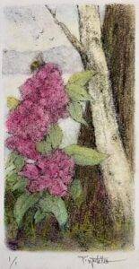 Citizens Of Sweetness