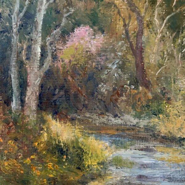 Island Salmon Stream