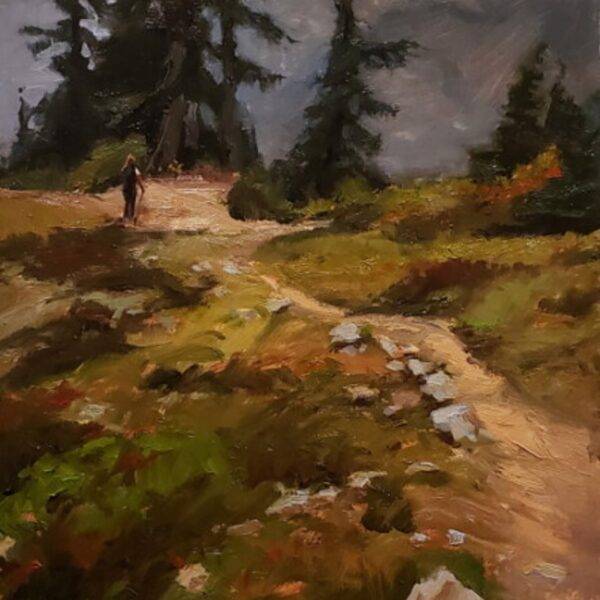 Mount Baker Trail