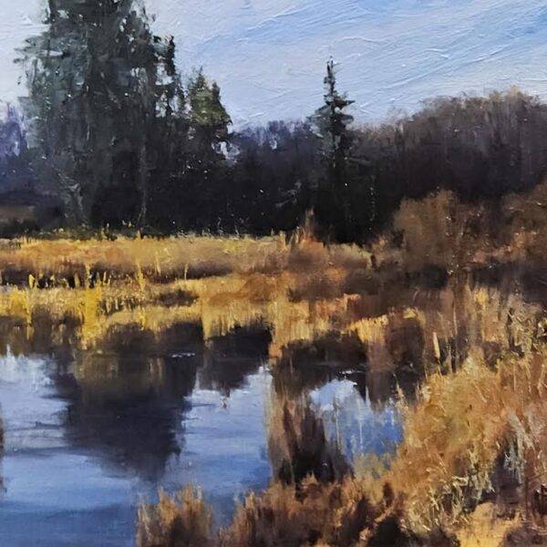 Washington Wetlands