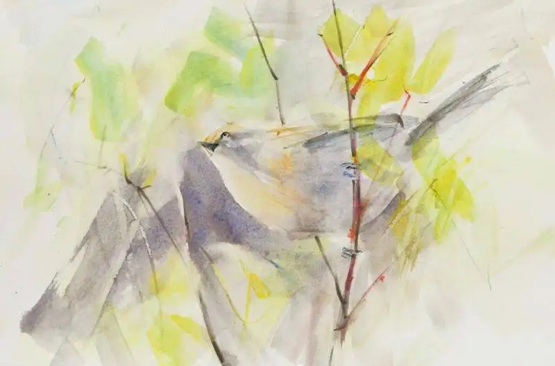 Bushtit, Watercolor, 2023 by Randena Walsh