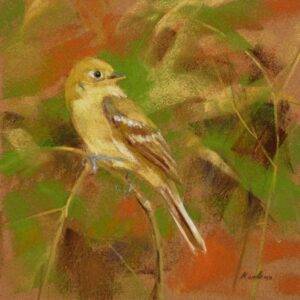 Pacific Slope Flycatcher, 2023