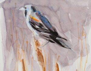 Red Winged Blackbird