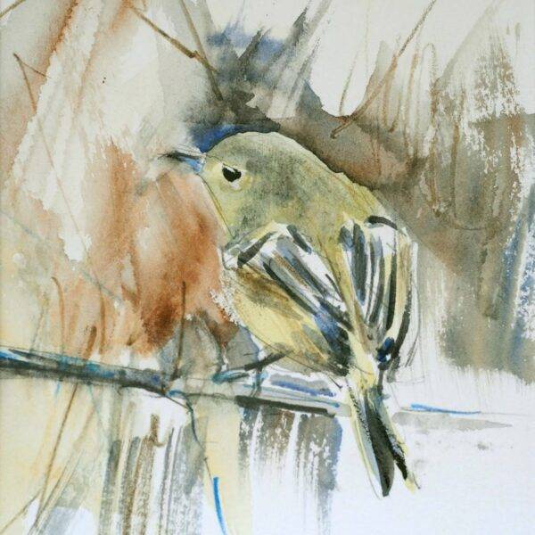 Vireo 2, 2023