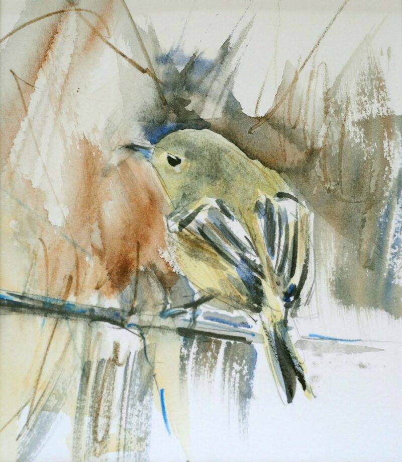 Vireo 2, 2023 by Randena Walsh