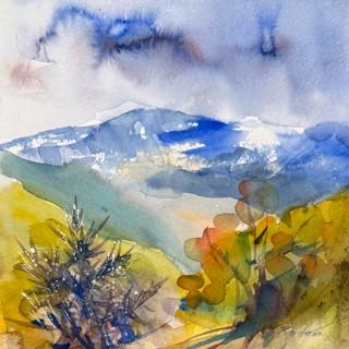 Randena Walsh