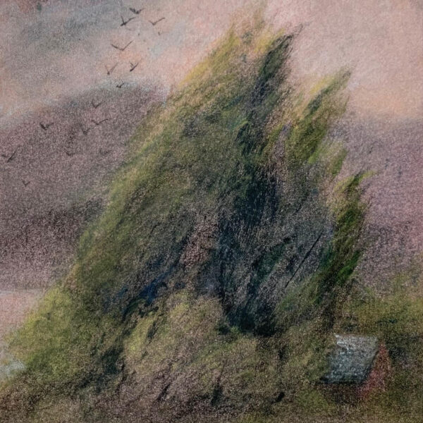 25 MPH by Pamela Wachtler — Watercolor — JG Art Gallery