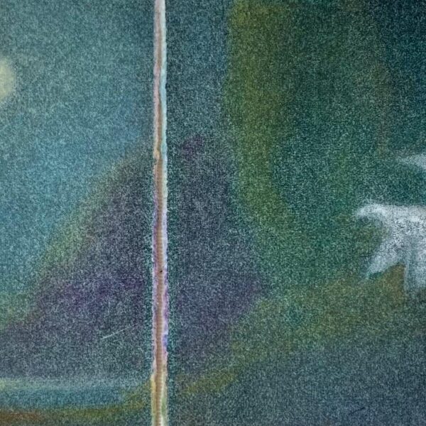 In Flight (Snow Geese) by Pamela Wachtler