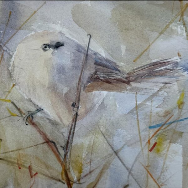 Bushtit 2 by Randena Walsh — Watercolor on Paper — JG Art Gallery