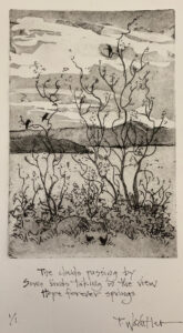 Hope Forever Springs