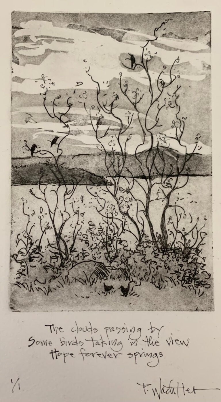 Hope Forever Springs by Pamela Wachtler