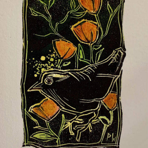 Winter Wren by Pamela Wachtler — Woodcut Print — JG Art Gallery
