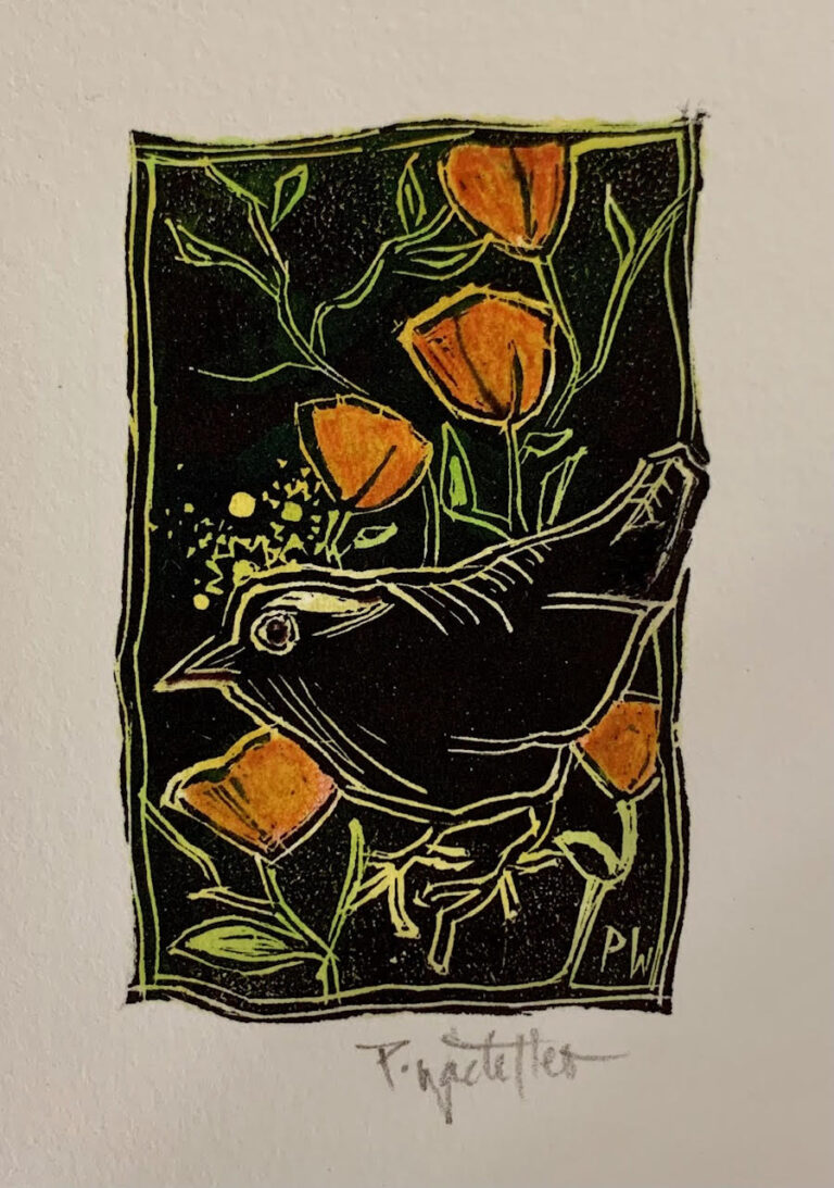 Winter Wren by Pamela Wachtler