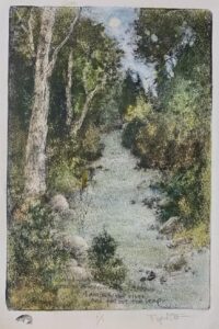 Upstream by Pamela Wachtler