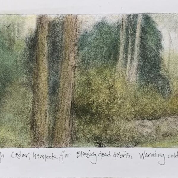 Forest Garden by Pamela Wachtler