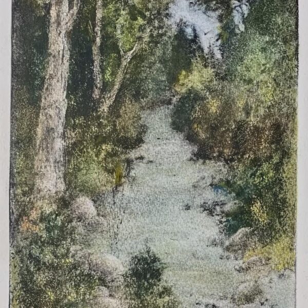 Upstream by Pamela Wachtler — Mixed Media - Hand-colored photograph or photogravure with watercolor — JG Art Gallery